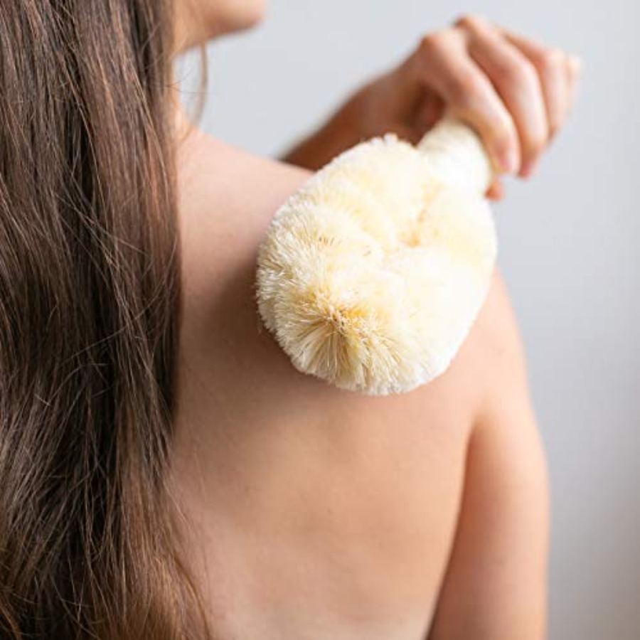 GranNaturals Bath and Shower D - Dry Brush Body ulasan dan harga